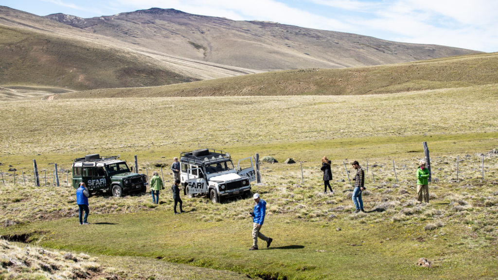 Safari Experience: Aventura 4x4 na Patagônia com almoço ou jantar incluso. Excursão de meio-dia Ideal para o dia de chegada ou partida.