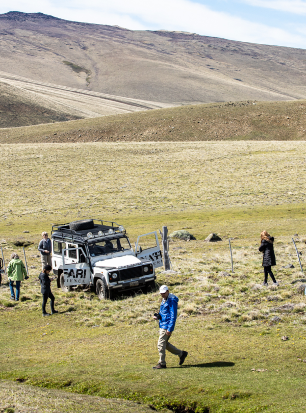 Safari Experience: Aventura 4x4 na Patagônia com almoço ou jantar incluso. Excursão de meio-dia Ideal para o dia de chegada ou partida.