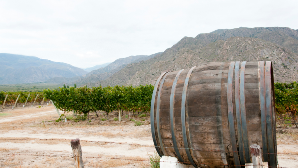 Descubra o que fazer em Salta, uma das regiões mais econômicas da Argentina. Confira passeios como o Trem às Nuvens, Salinas Grandes e a Quebrada de Humahuaca.