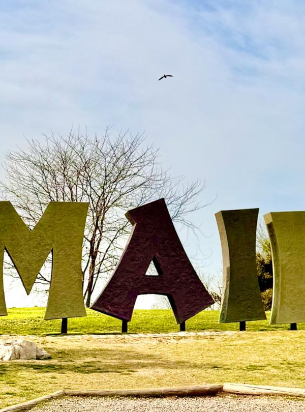 Explore o Bioparque Temaikèn em uma excursão perfeita para famílias. Inclui transporte, guia e ingressos. Divirta-se em meio à natureza!