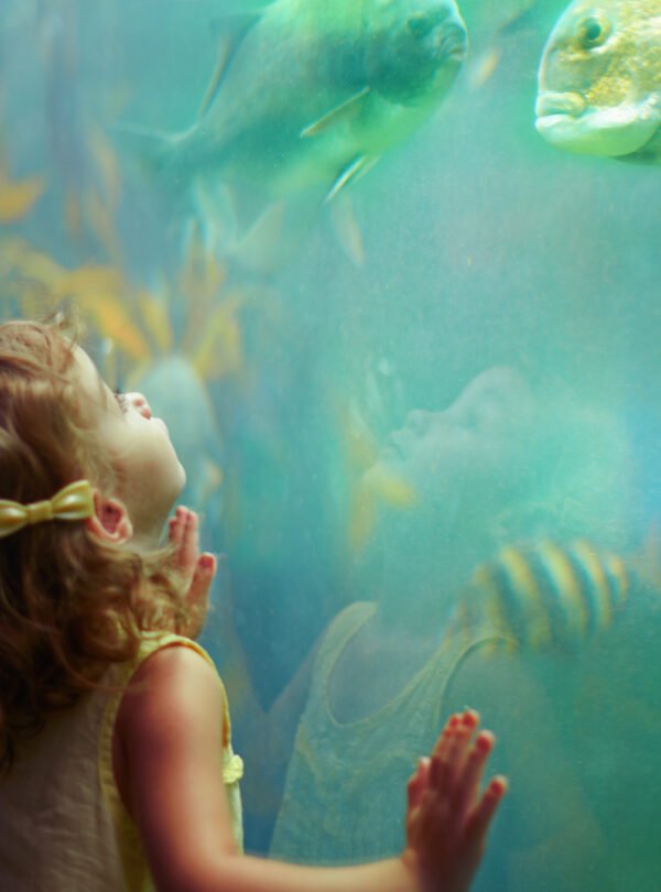 Explore o Bioparque Temaikèn em uma excursão perfeita para famílias. Inclui transporte, guia e ingressos. Divirta-se em meio à natureza!