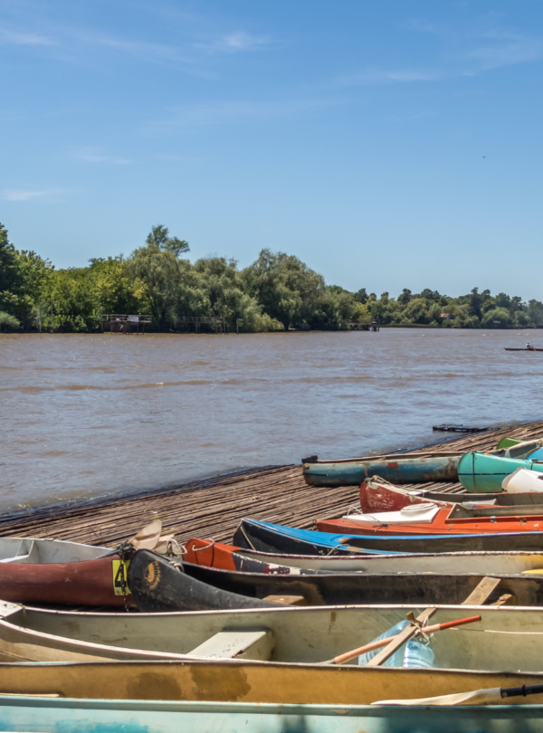 Explore o Delta do Tigre com nosso passeio clássico. Saída de Buenos Aires, navegação, visita ao Puerto de Frutos e retorno ao centro.