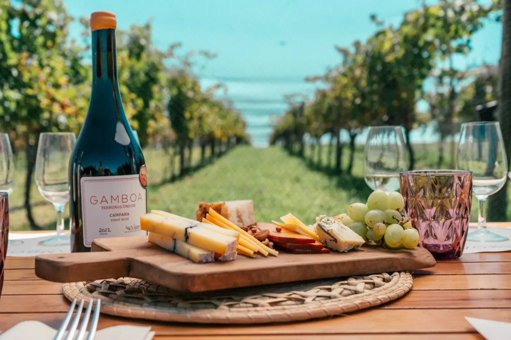 Descubra a imersão gastronômica e vinícola da Bodega Gamboa, com degustação de vinhos exclusivos e almoço harmonizado.