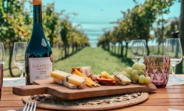 Descubra a imersão gastronômica e vinícola da Bodega Gamboa, com degustação de vinhos exclusivos e almoço harmonizado.