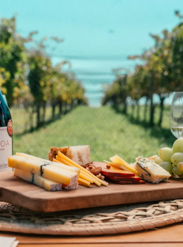 Descubra a imersão gastronômica e vinícola da Bodega Gamboa, com degustação de vinhos exclusivos e almoço harmonizado.