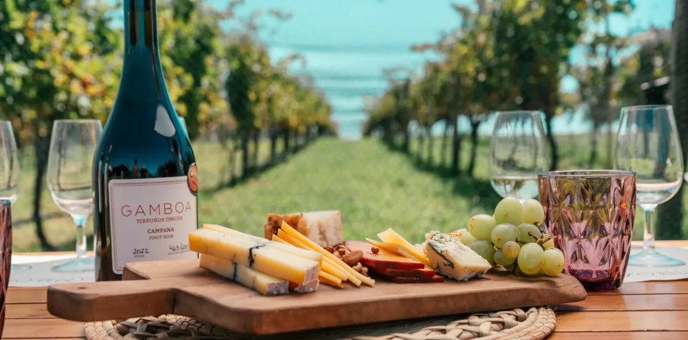 Descubra a imersão gastronômica e vinícola da Bodega Gamboa, com degustação de vinhos exclusivos e almoço harmonizado.