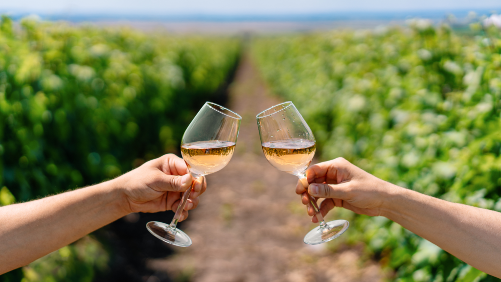 Wine tour Colonia del sacramento, desfrute de uma experiência vinícola com visita guiada, degustação de vinhos e almoço harmonizado.