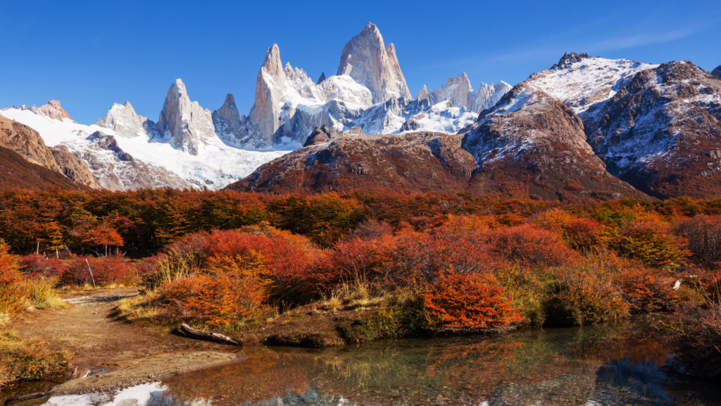 Explore El Chaltén em uma excursão de dia completo com caminhadas, vistas espetaculares e um almoço delicioso em um passeio com guia.