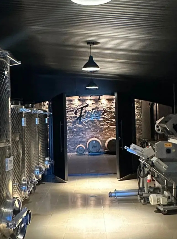 Wine tour Colonia del sacramento, desfrute de uma experiência vinícola com visita guiada, degustação de vinhos e almoço harmonizado.