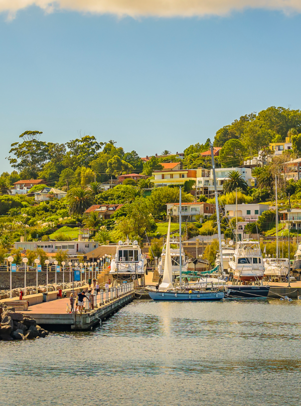 Descubra Punta del Este: Visite Piriápolis, Casapueblo e o centro de Punta del Este com guia especializado.