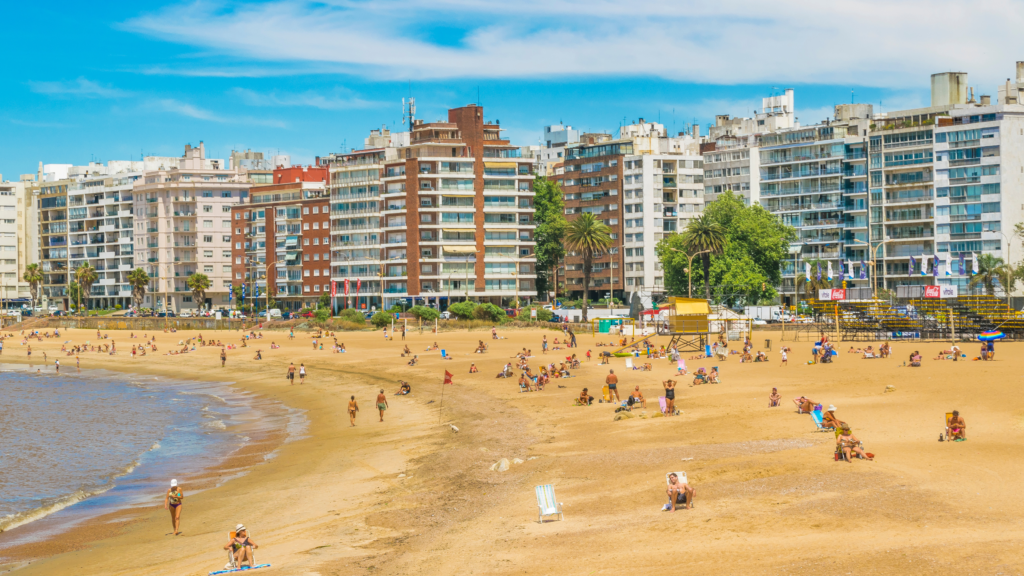 Descubra Montevidéu em um passeio panorâmico pelos principais pontos turísticos da cidade, incluindo a Praça Independência, Palácio Salvo, Teatro Solís e muito mais.