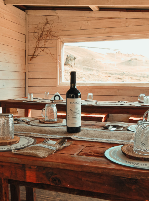 Explore os Balcones de Calafate em um emocionante passeio 4x4. Mirantes, fósseis e vistas panorâmicas da Patagônia em uma experiência única.
