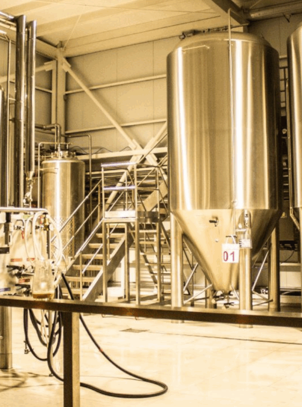 Explore o Beer Tour em Bariloche, um passeio pelas melhores cervejarias artesanais da região, com degustações, jantar e transporte incluso.