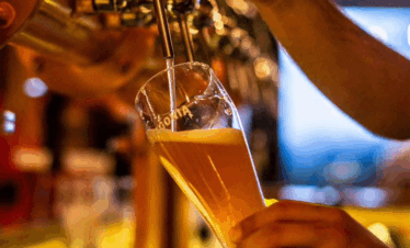 Explore o Beer Tour em Bariloche, um passeio pelas melhores cervejarias artesanais da região, com degustações, jantar e transporte incluso.