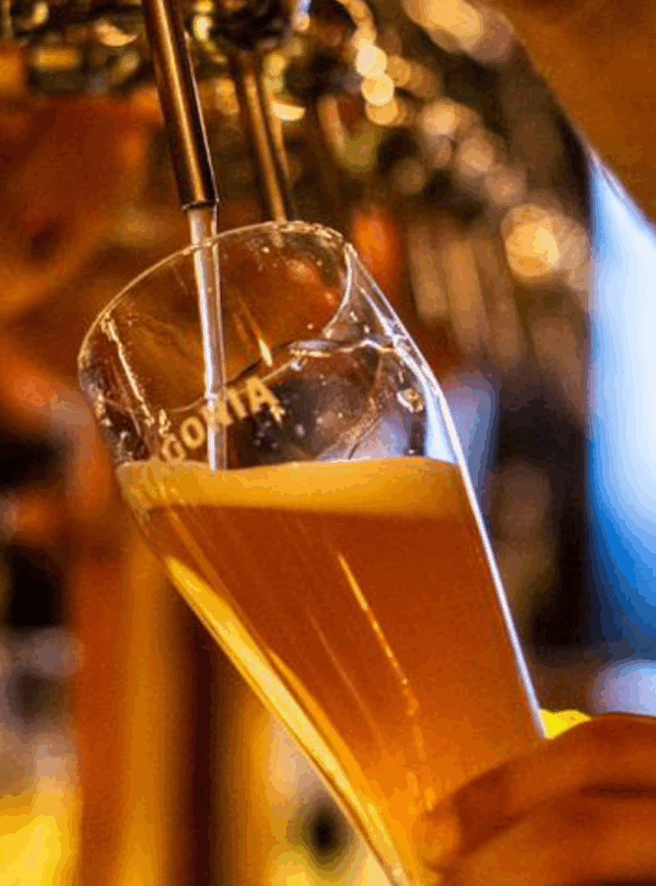 Explore o Beer Tour em Bariloche, um passeio pelas melhores cervejarias artesanais da região, com degustações, jantar e transporte incluso.