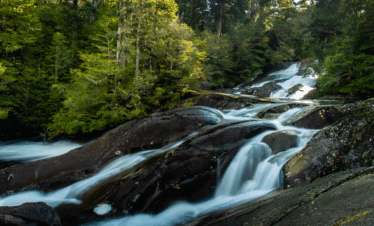 Descubra paisagens deslumbrantes com a My Little Buenos Aires na selva valdiviana em Puerto Blest e a cascada Los Cántaros.