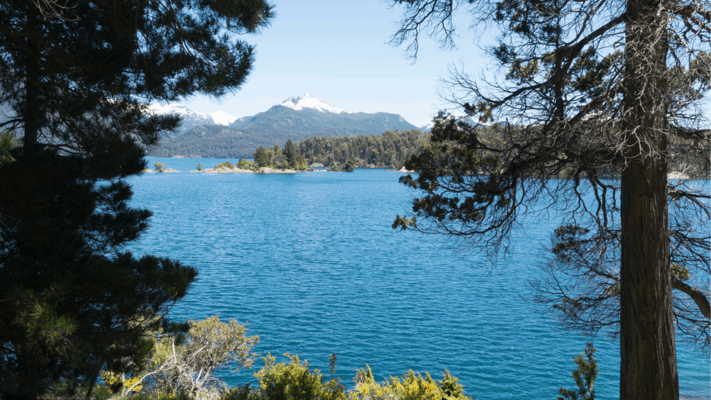 Explore o Bosque de Arrayanes e a Isla Victoria, cenários icônicos da Patagônia Argentina. Um passeio fascinante com natureza e história.