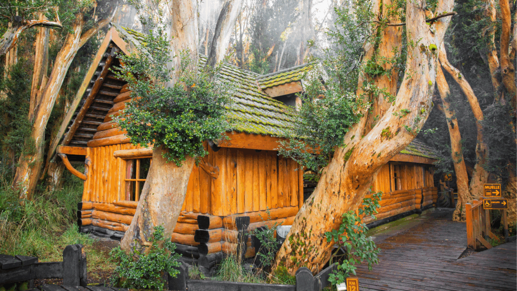 Explore o Bosque de Arrayanes e a Isla Victoria, cenários icônicos da Patagônia Argentina. Um passeio fascinante com natureza e história.