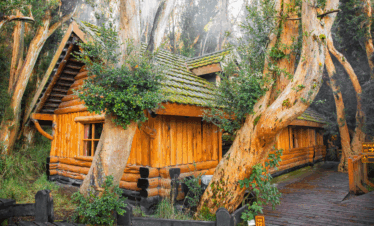 Explore o Bosque de Arrayanes e a Isla Victoria, cenários icônicos da Patagônia Argentina. Um passeio fascinante com natureza e história.
