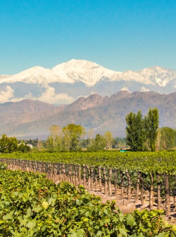 Destino Mendoza – My Little Buenos Aires