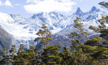 Descubra o Mayo Spirit Trek El Calafate: navegação exclusiva pelo Canal Mayo, trilhas na floresta patagônica, glaciares suspensos e visita ao Glaciar Perito Moreno.