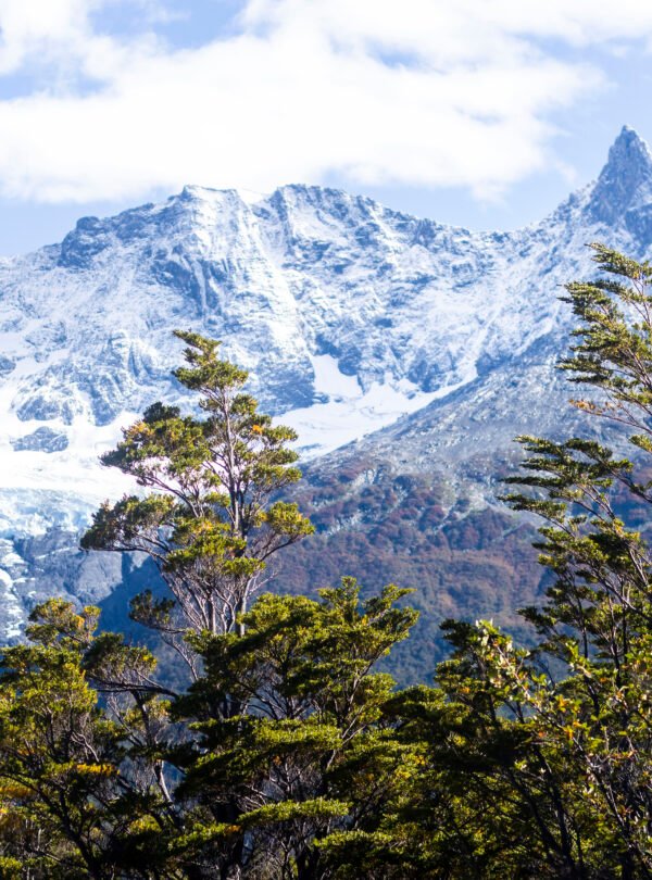 Descubra o Mayo Spirit Trek El Calafate: navegação exclusiva pelo Canal Mayo, trilhas na floresta patagônica, glaciares suspensos e visita ao Glaciar Perito Moreno.