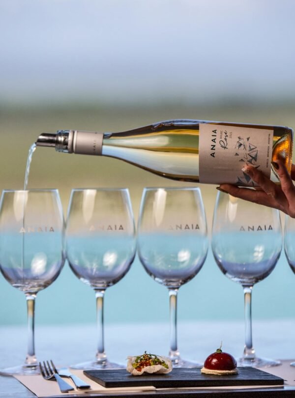 Descubra a Experiência Andina em Mendoza, um passeio que reúne arquitetura premiada, inovação vinícola e gastronomia de alto nível, com visita à Vinícola Anaia e jantar no Restaurante Abrasado.