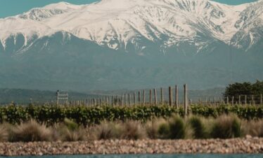 Descubra a Experiência Andina em Mendoza, um passeio que reúne arquitetura premiada, inovação vinícola e gastronomia de alto nível, com visita à Vinícola Anaia e jantar no Restaurante Abrasado.