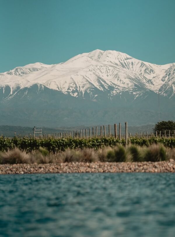 Descubra a Experiência Andina em Mendoza, um passeio que reúne arquitetura premiada, inovação vinícola e gastronomia de alto nível, com visita à Vinícola Anaia e jantar no Restaurante Abrasado.