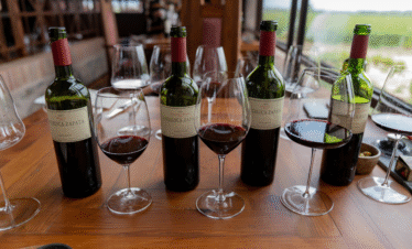 Viva uma experiência gastronômica exclusiva no jantar do Restaurante Angélica, dentro da Vinícola Catena Zapata, em Mendoza. Menu degustação harmonizado, ambiente sofisticado e transporte privativo.