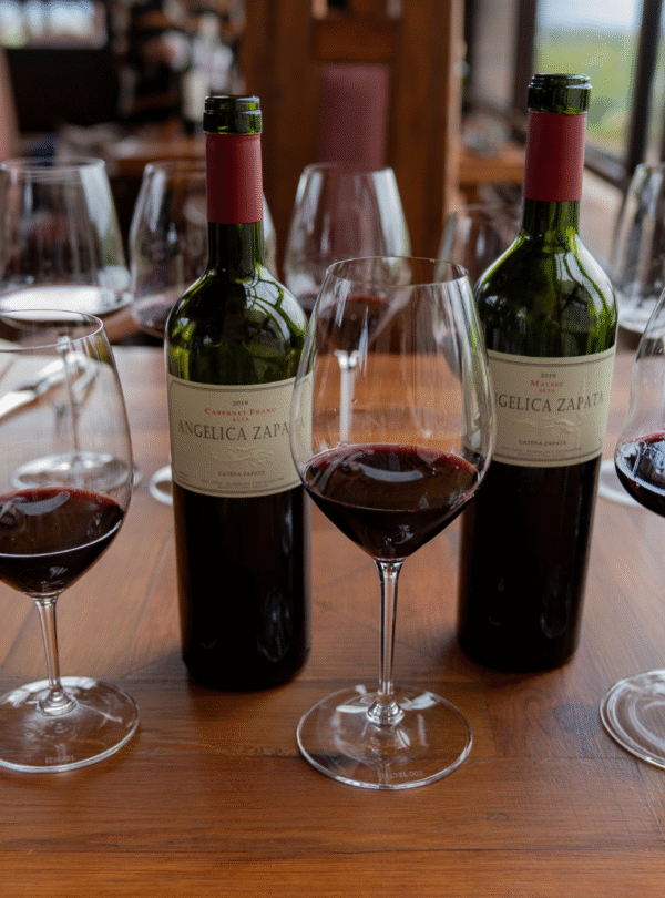 Viva uma experiência gastronômica exclusiva no jantar do Restaurante Angélica, dentro da Vinícola Catena Zapata, em Mendoza. Menu degustação harmonizado, ambiente sofisticado e transporte privativo.