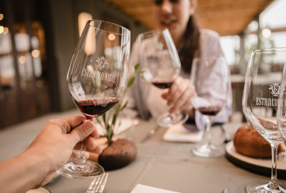 Viva um dia inesquecível na Estância Vigil: visita guiada ao vinhedo, degustação de Malbec e almoço harmonizado em 3 passos, com transporte ida e volta do hotel.