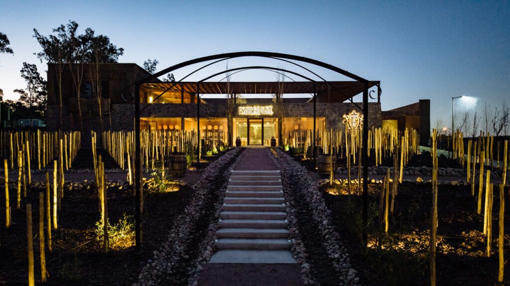 Viva um dia inesquecível na Estância Vigil: visita guiada ao vinhedo, degustação de Malbec e almoço harmonizado em 3 passos, com transporte ida e volta do hotel.