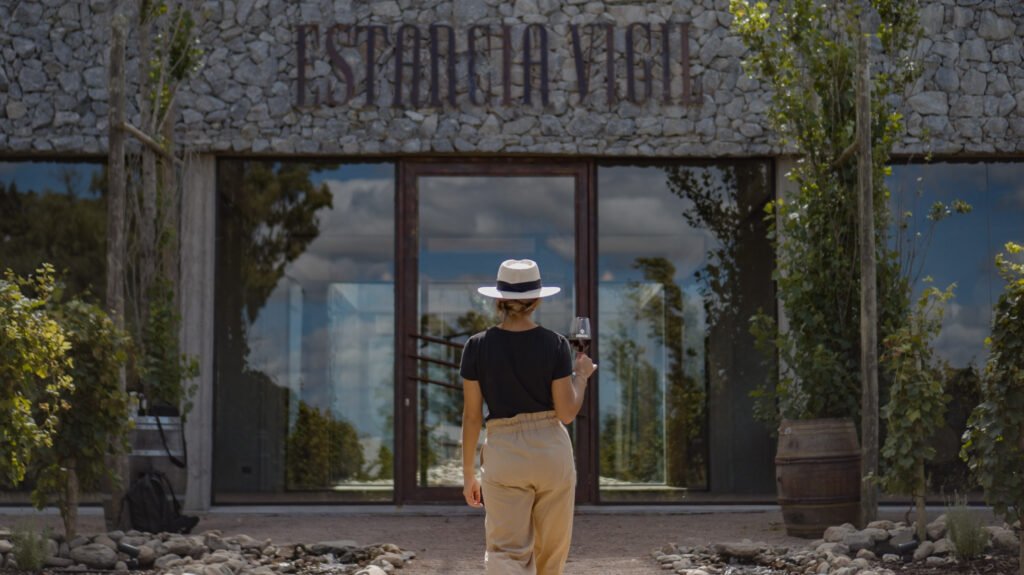 Viva um dia inesquecível na Estância Vigil: visita guiada ao vinhedo, degustação de Malbec e almoço harmonizado em 3 passos, com transporte ida e volta do hotel.