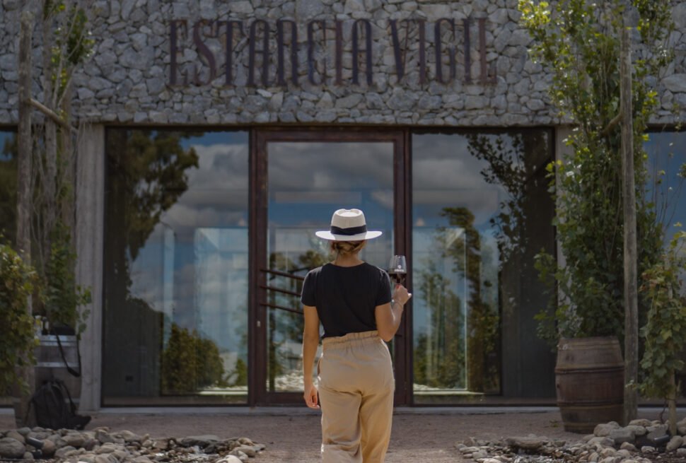 Viva um dia inesquecível na Estância Vigil: visita guiada ao vinhedo, degustação de Malbec e almoço harmonizado em 3 passos, com transporte ida e volta do hotel.