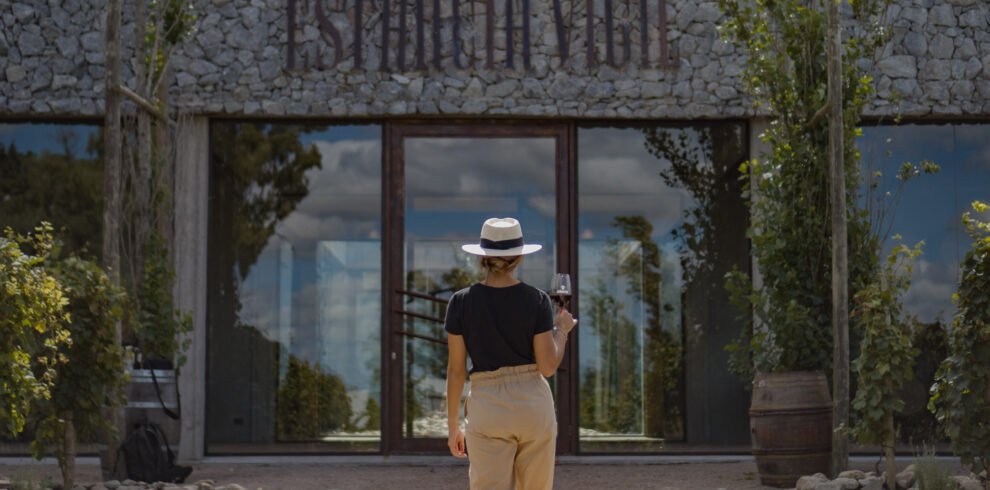 Viva um dia inesquecível na Estância Vigil: visita guiada ao vinhedo, degustação de Malbec e almoço harmonizado em 3 passos, com transporte ida e volta do hotel.