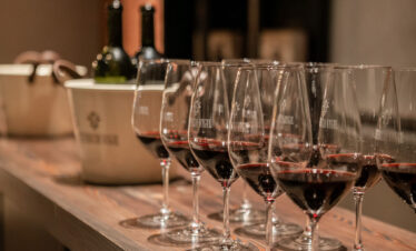Viva um dia inesquecível na Estância Vigil: visita guiada ao vinhedo, degustação de Malbec e almoço harmonizado em 3 passos, com transporte ida e volta do hotel.