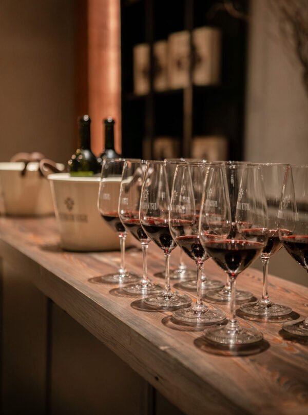 Viva um dia inesquecível na Estância Vigil: visita guiada ao vinhedo, degustação de Malbec e almoço harmonizado em 3 passos, com transporte ida e volta do hotel.