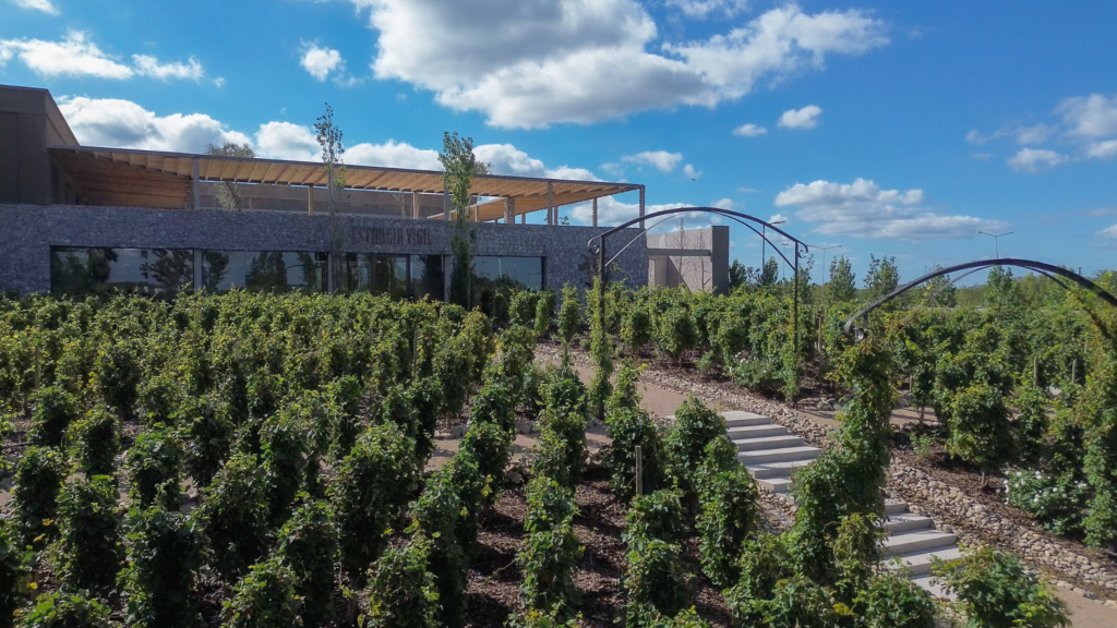 Descubra como é Buenos Aires em março: clima, o que vestir, eventos, feriados e os melhores passeios para aproveitar a cidade em 2026.