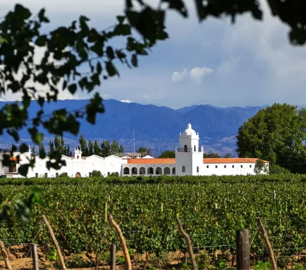 Descubra o Wine Tour em Cafayate com degustação de vinhos de altitude em Salta, visita a vinícolas renomadas e experiência gastronômica com queijos artesanais.