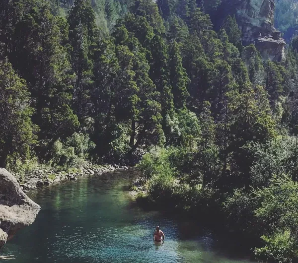 Descubra o Circuito Grande em Bariloche, uma excursão de dia completo que revela alguns dos cenários mais impressionantes da Patagônia Argentina.